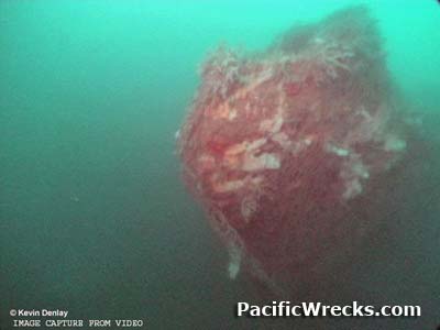 Click For Enlargement