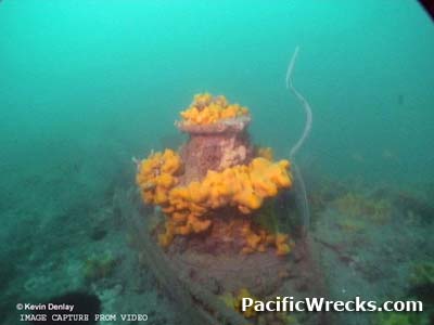 Click For Enlargement