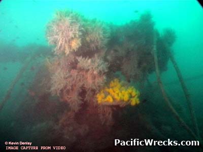 Click For Enlargement