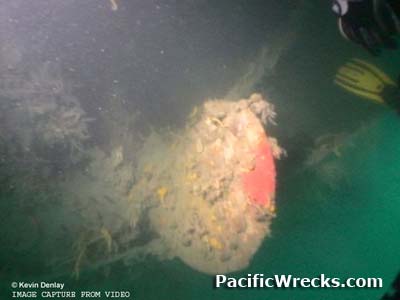 Click For Enlargement