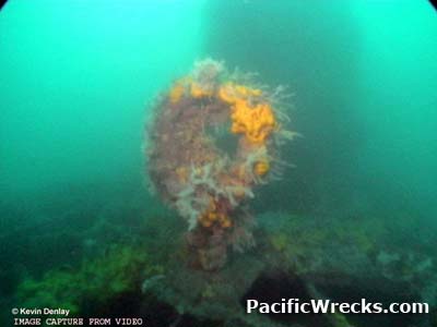 Click For Enlargement