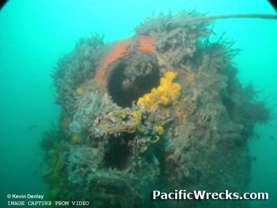 Click For Enlargement