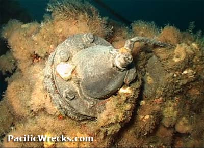 Click For Enlargement