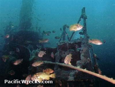 Click For Enlargement