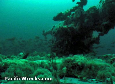 Click For Enlargement