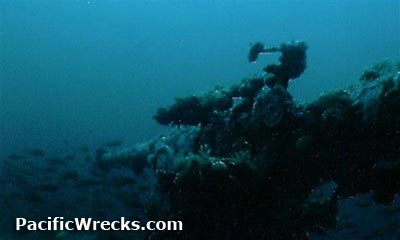 Click For Enlargement