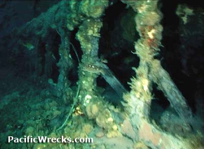 Click For Enlargement