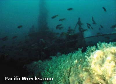 Click For Enlargement