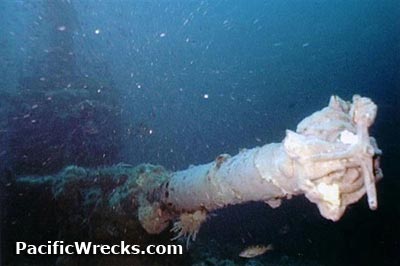 Click For Enlargement