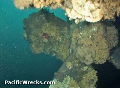 Click For Enlargement