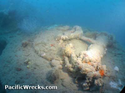 Click For Enlargement