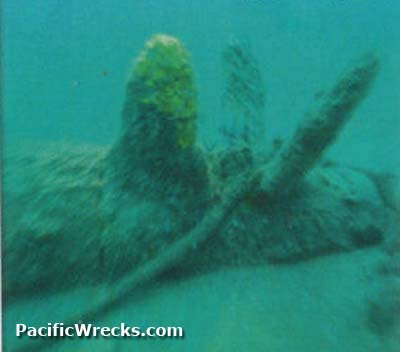 Click For Enlargement