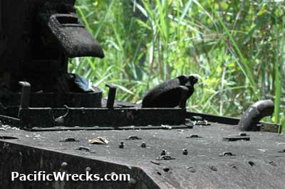 Click For Enlargement