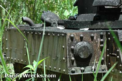 Click For Enlargement