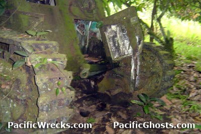 Click For Enlargement