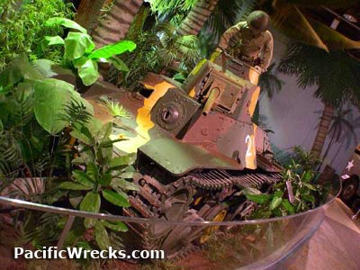 Click For Enlargement