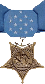 Medal of Honor