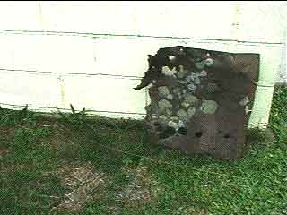 Click For Enlargement