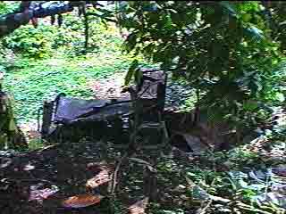 Click For Enlargement