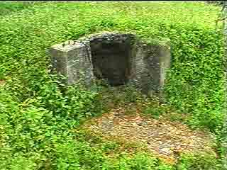 Click For Enlargement